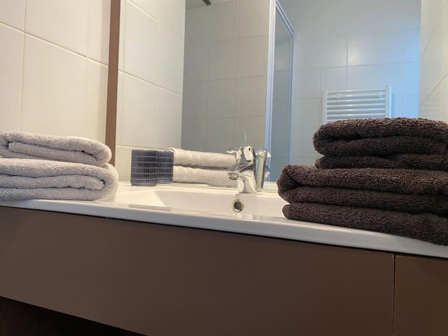 La Suite Griffon - Parking & Balcon Toulouse Luaran gambar